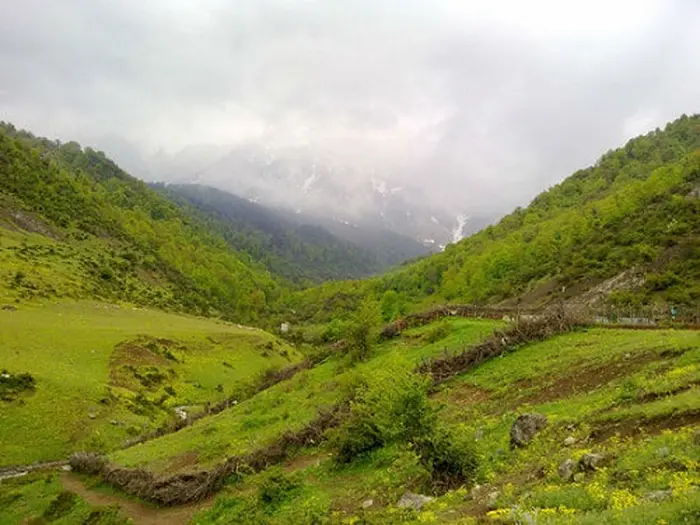 زمین های سرسبز روستای اسکنده 5415241325