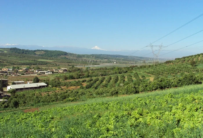 زمین های سرسبز روستای افراتخت 5121524135