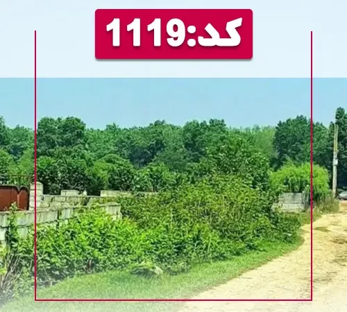 زمین جنگلی روستایی در بابلسر 5278527852