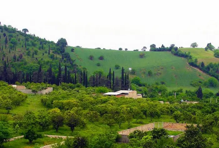 ویلاهای روستایی با محوطه سرسبز جنگلی روستای تازه آباد 62323